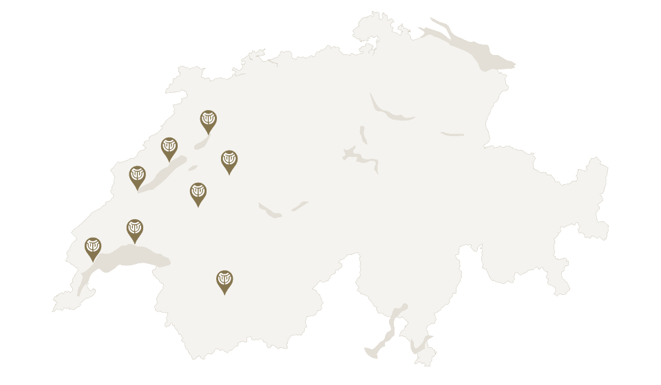Map of Switzerland showing Les Toises clinic locations